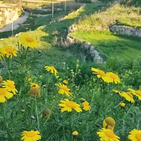 Nyaraló Two Connected In Gozo With 2 Private Pools Rooftops And Bbq Sleeps 16 Għarb
